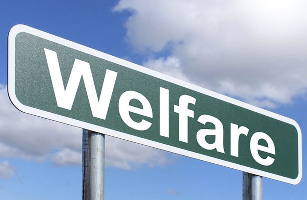 Welfare Terzo Settore